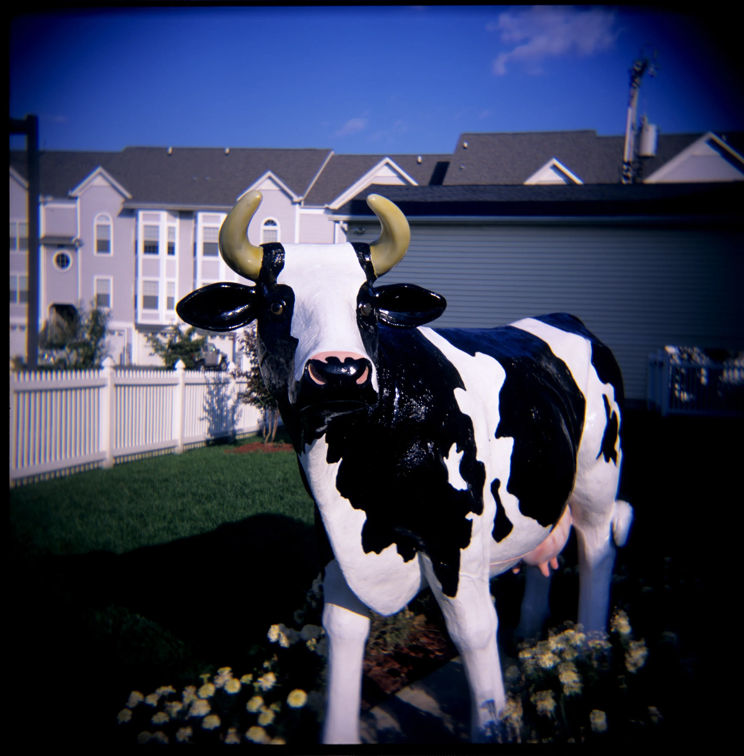 FakeCow04.jpg