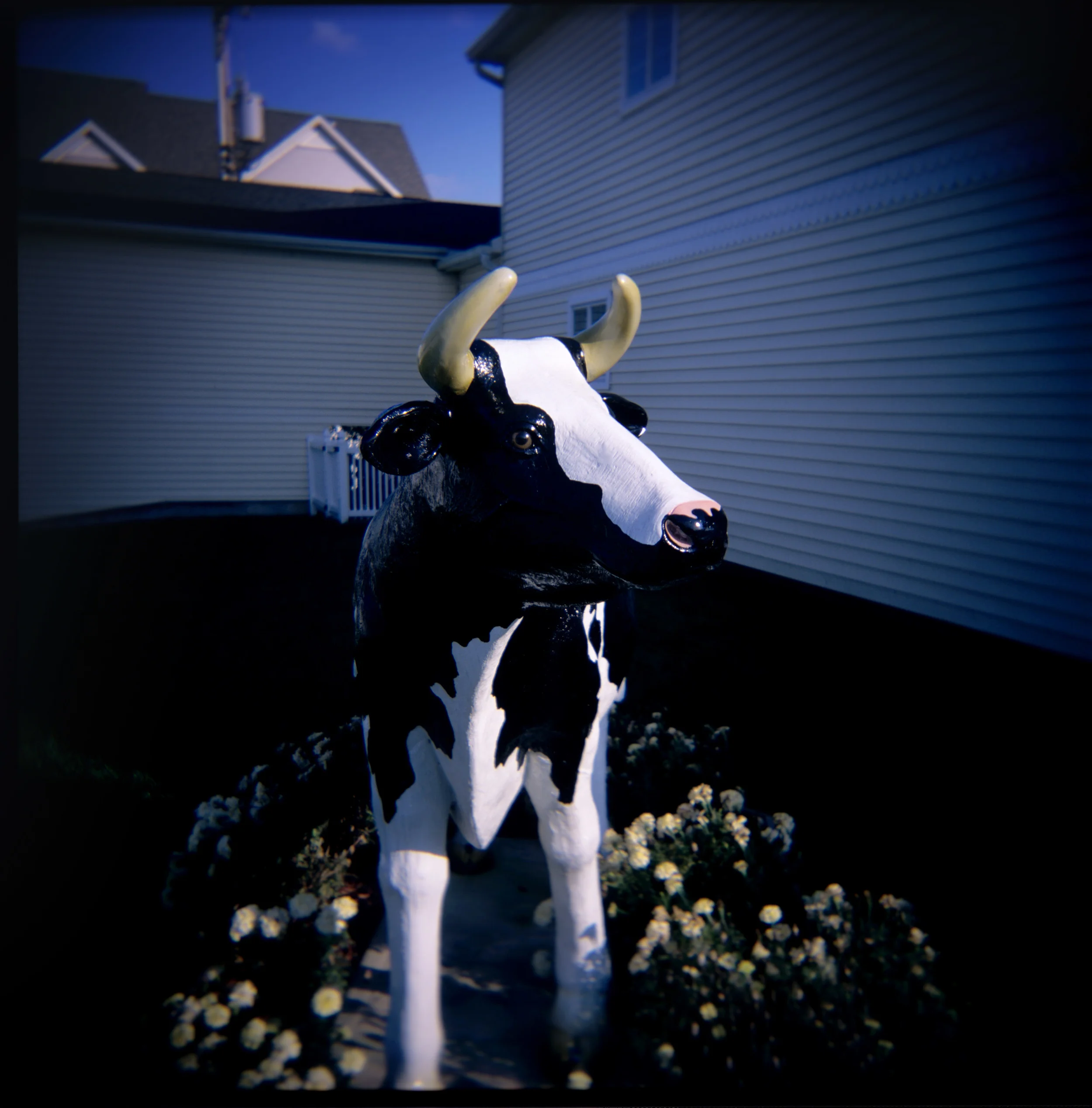 FakeCows06.jpg