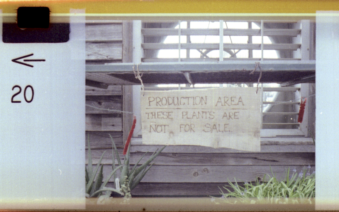 Auto110_2Sign.jpg