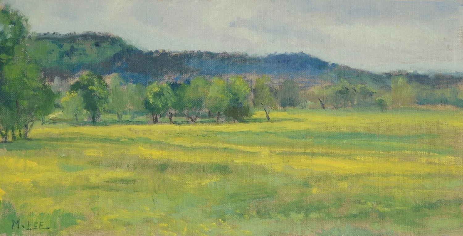 Yellow flowering fields near the Ozark National Forest, AR. &nbsp;6x12 inches, oil on linen.