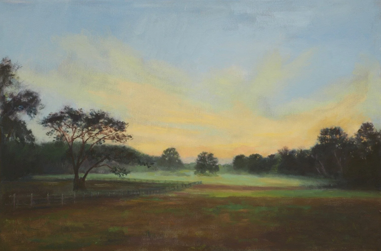 Morning Mist on a Horse Pasture in Franklin, TN.  24x36 Oil on canvas.