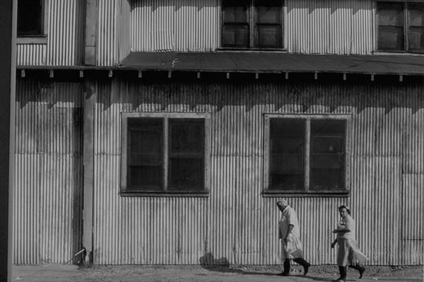 Cannery Workers