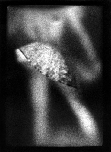 img002.jpg