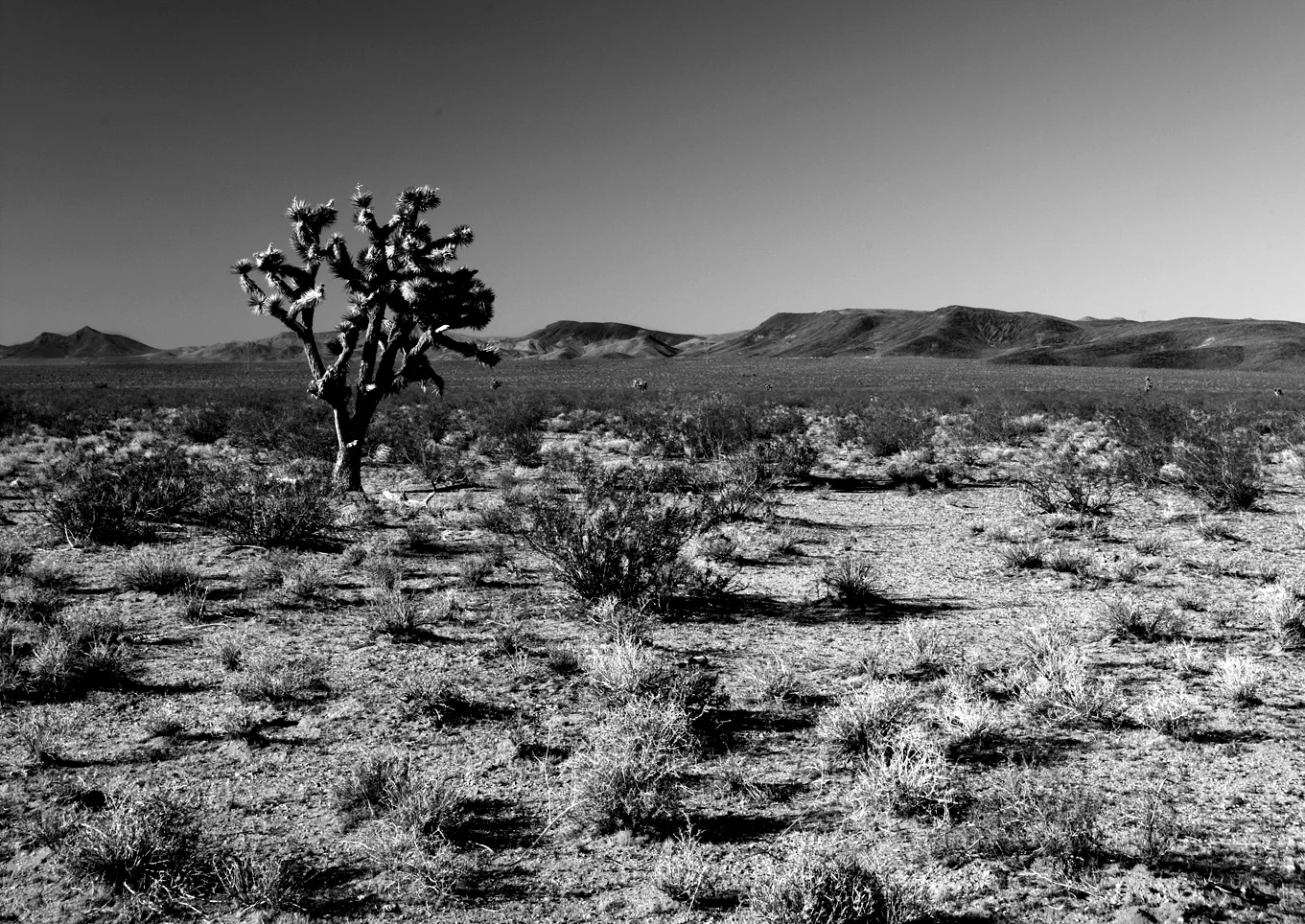 Arizona USA
