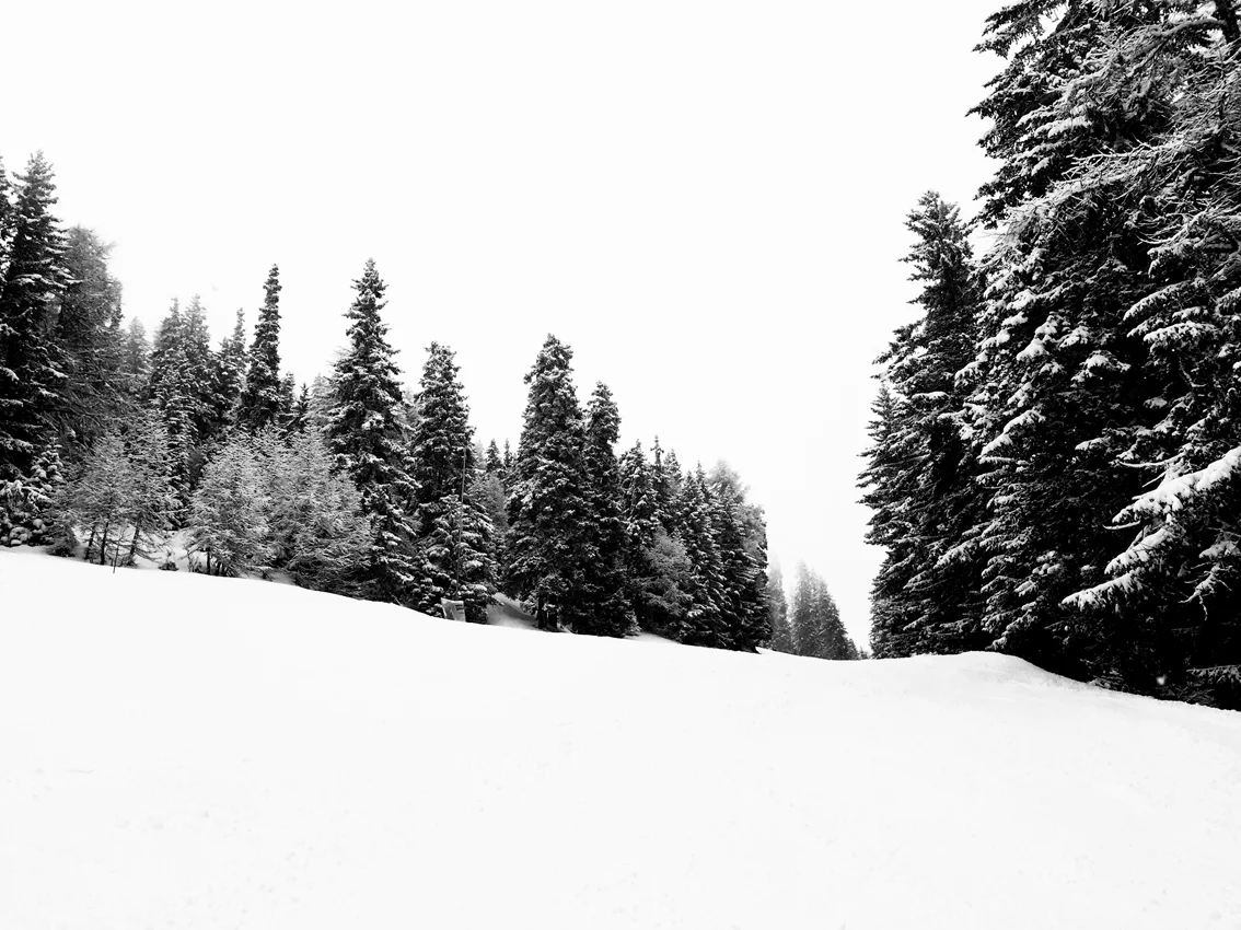 Bellwald16-3web.jpg