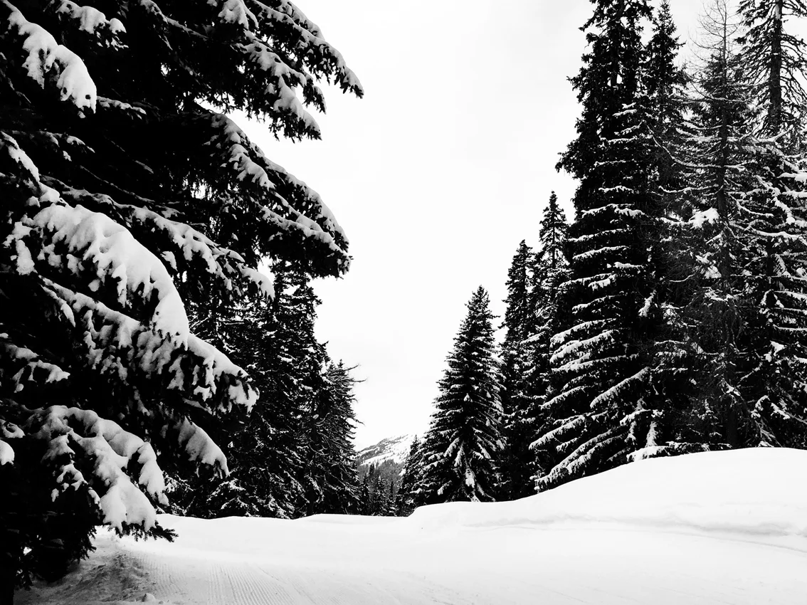 Bellwald16-5web.jpg