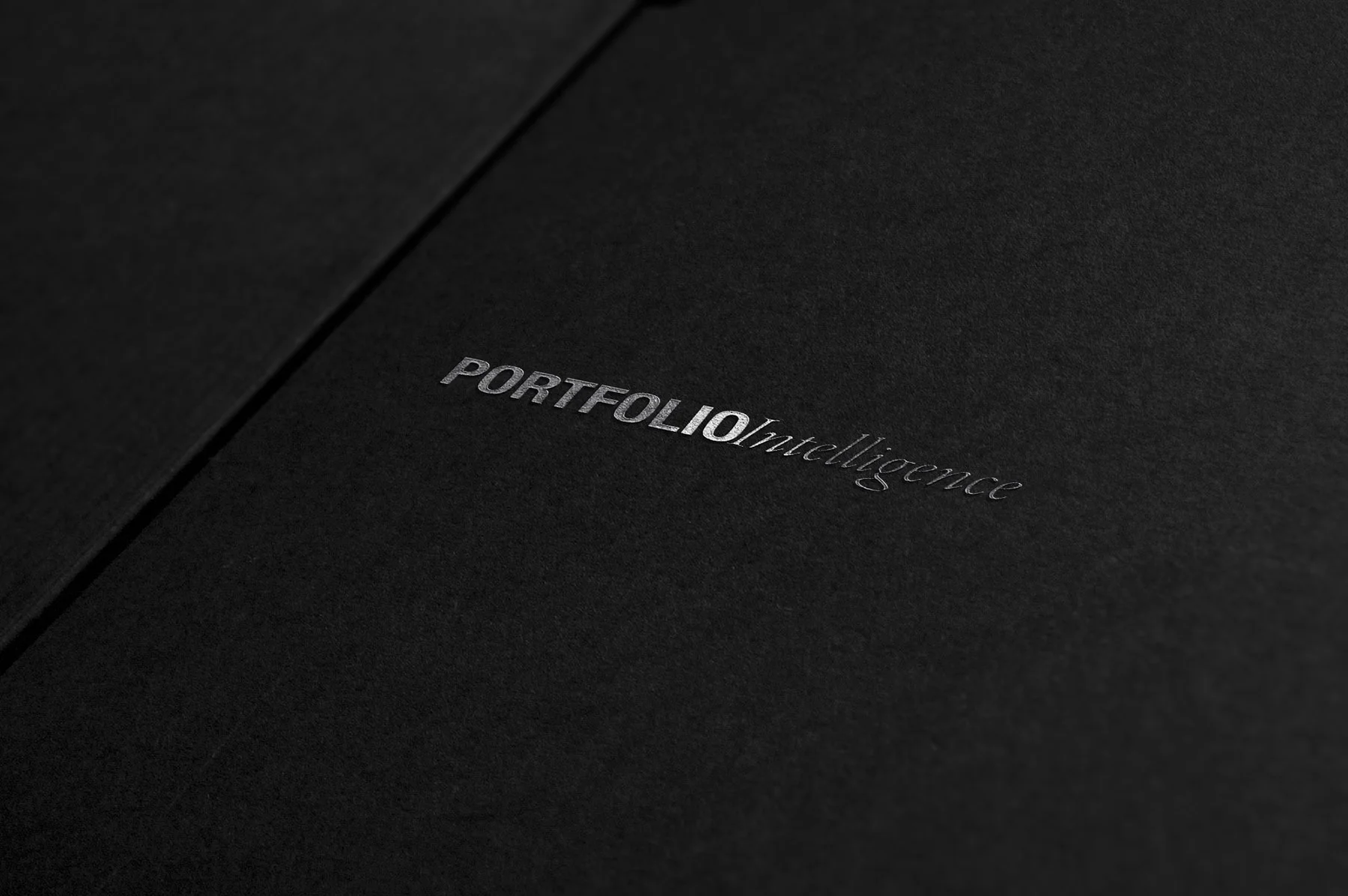 Logo Portfolio Intelligence LOW.jpg