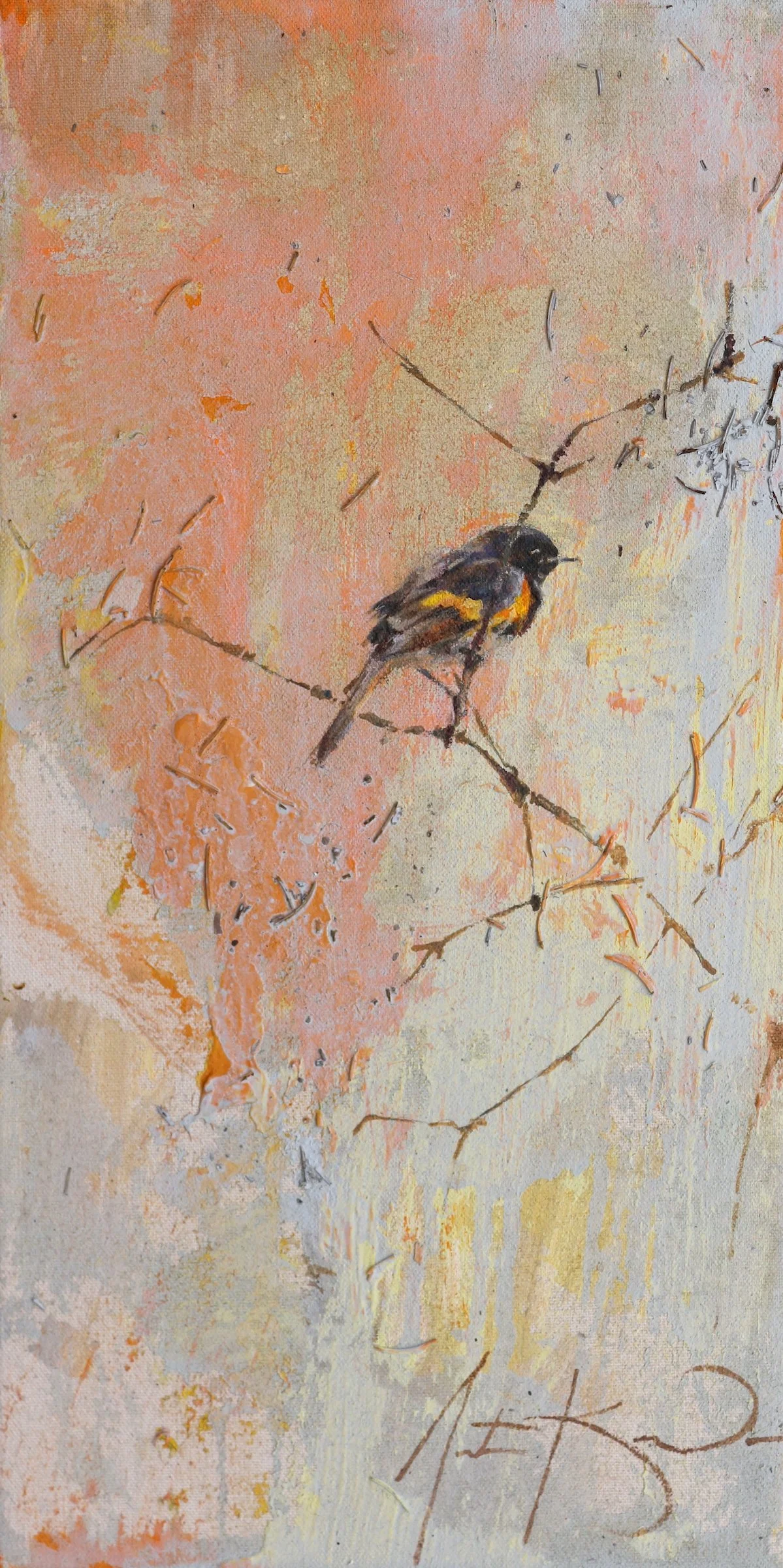 American Redstart - 16 x 8.JPG