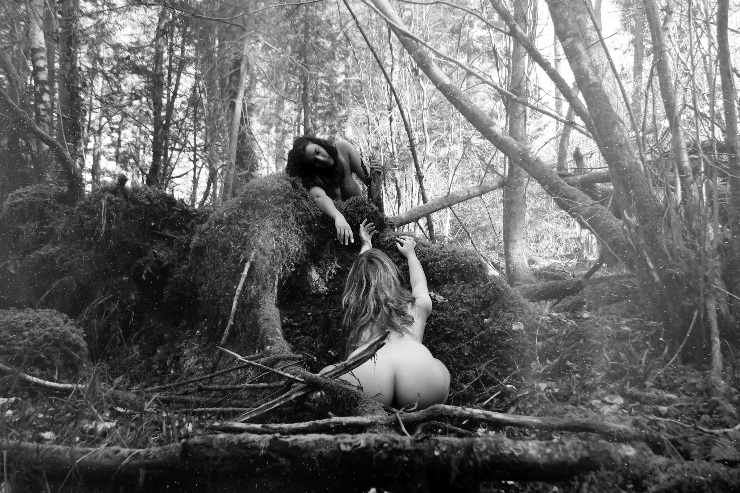 The love of wilderness is more than a hunger for what is always beyond reach; It is also an expression of loyalty to the earth, the earth which bore us and sustains us, the only paradise we shall ever know, the only paradise we ever need, if only we had the eyes to see. 35mm film scan, 2017.