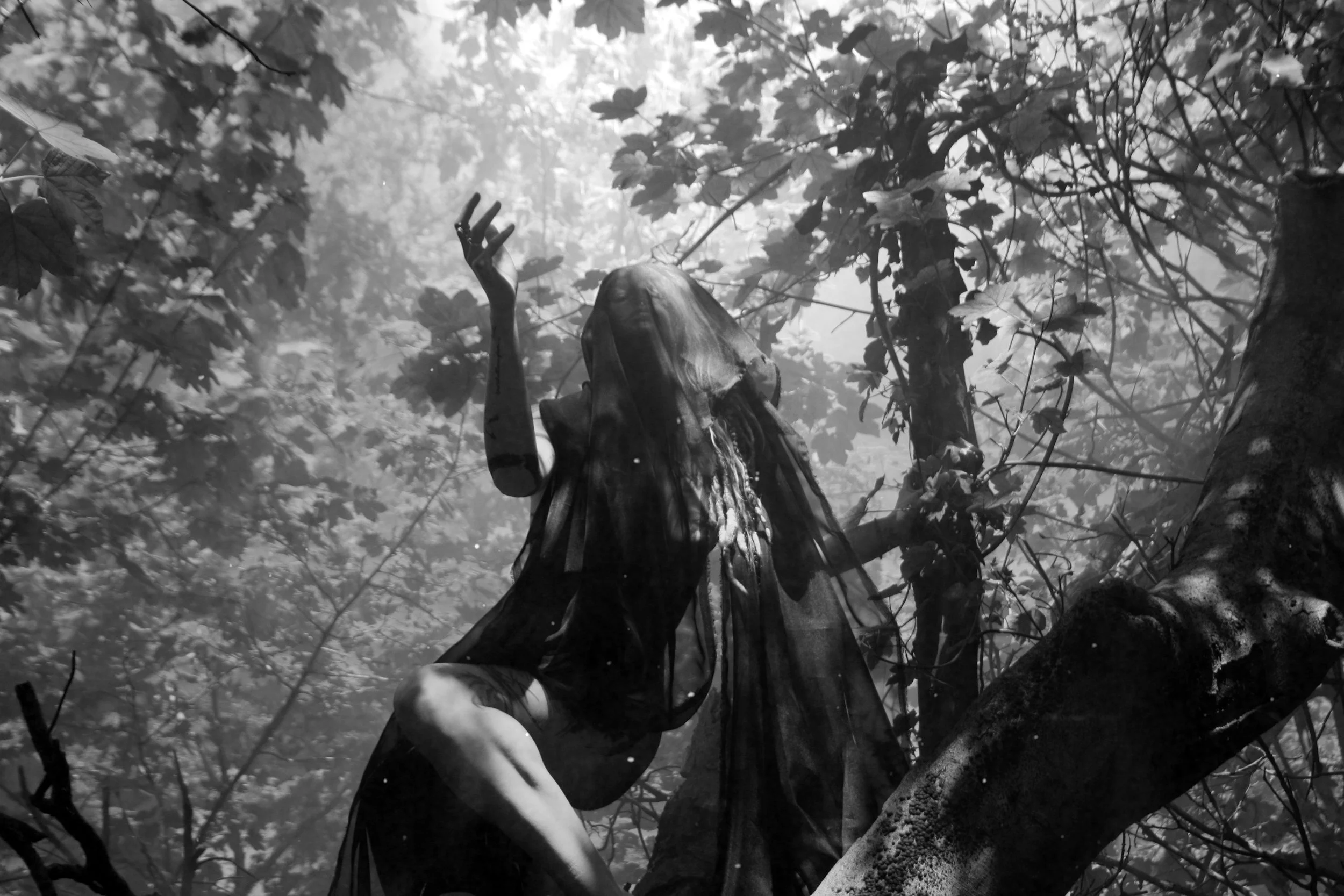 Her heart was a dark forest, her soul all the wild things which dwelt between the trees.