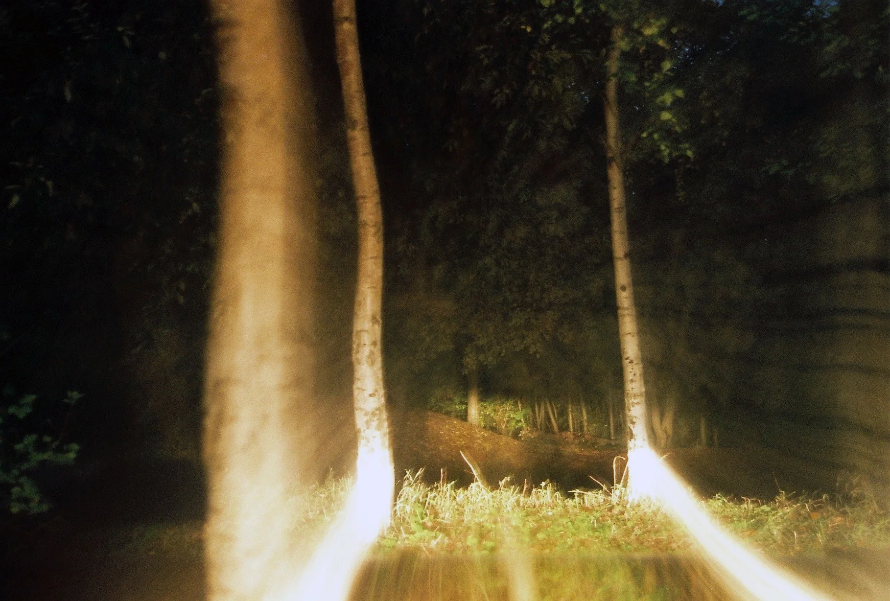‘forests have secrets,’ he said gently. ‘it’s practically what they’re for. To hide things. To separate one world from another.’