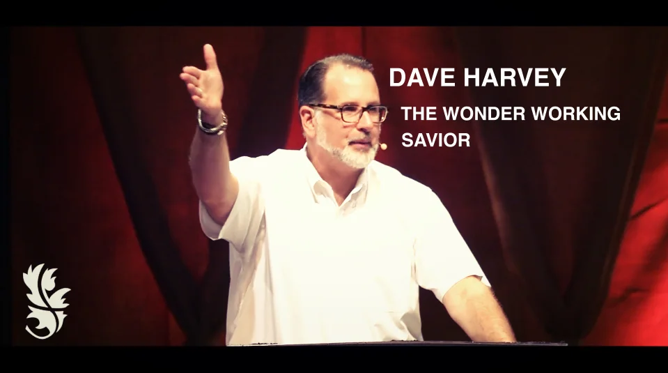 The Wonder Working Savior