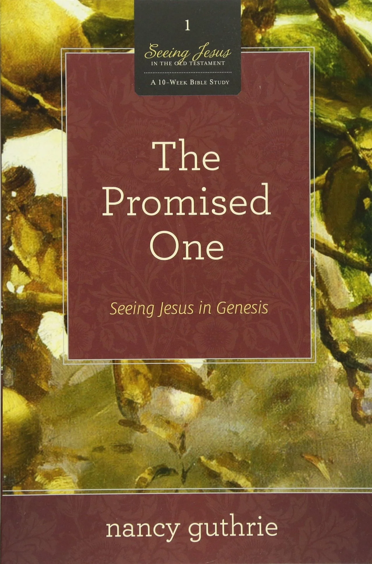 The Promised One- Seeing Jesus in Genesis by Nancy Guthrie
