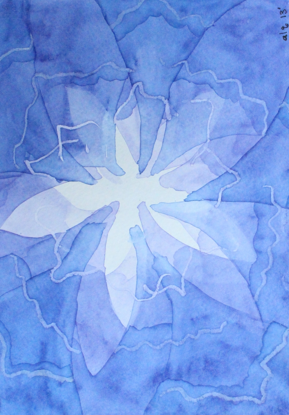 blue lilly