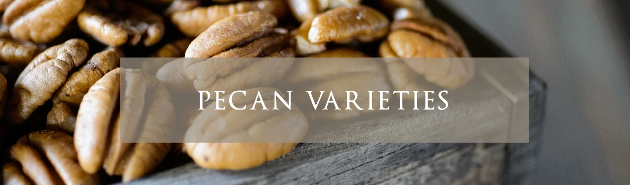 GApecanFarmHomepageBannerPecanVarieties.jpg