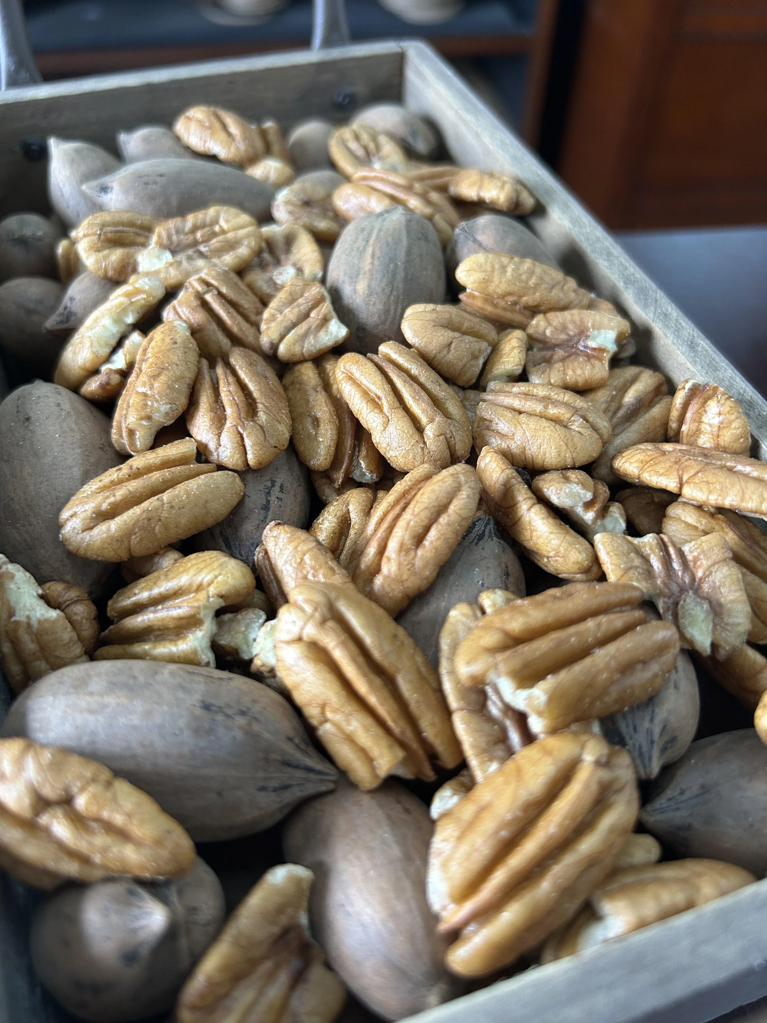 pawnee halves 2025.jpg