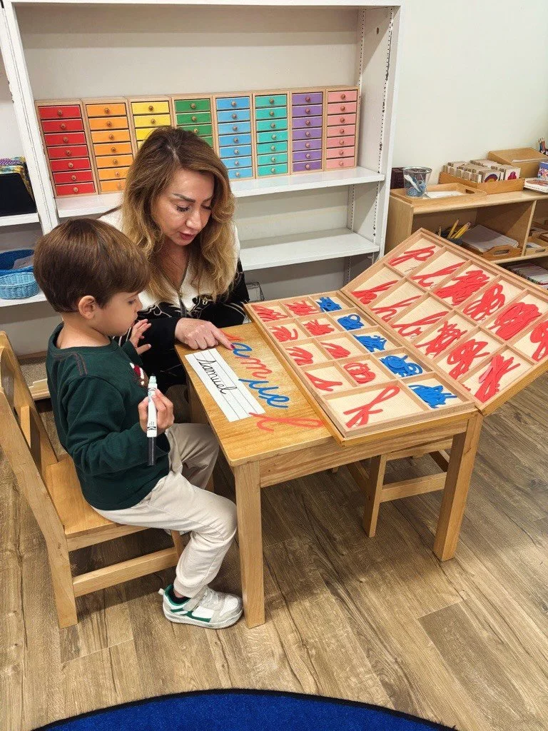The Montessori movable alphabet helps children learn to spell, compose words, and express thoughts in writing long before they have the fine motor skills to hold a pencil.
The vowels are typically blue and consonants are red (or pink in some variatio