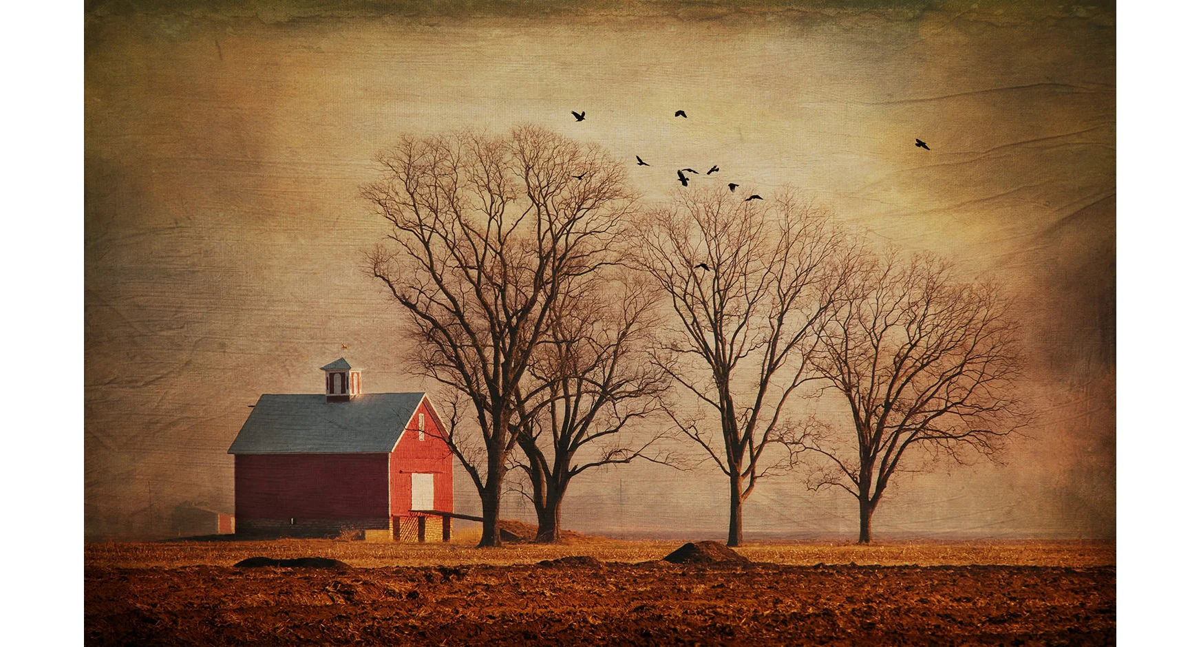 Morning Farm