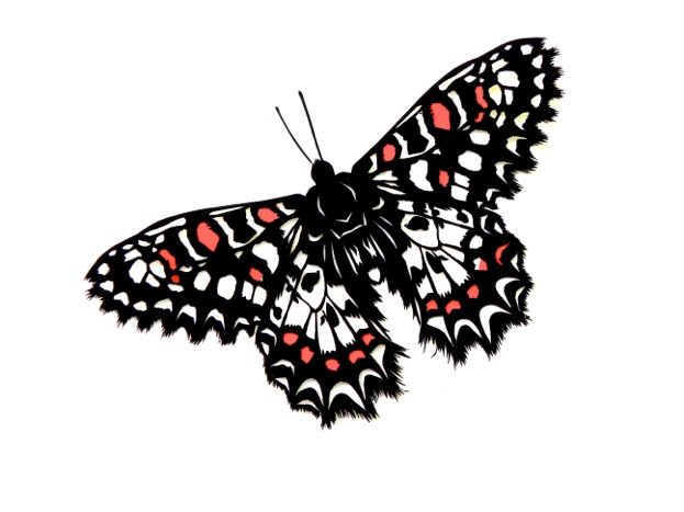 Exquisite Paper Cutting by Joyce Yarbrough