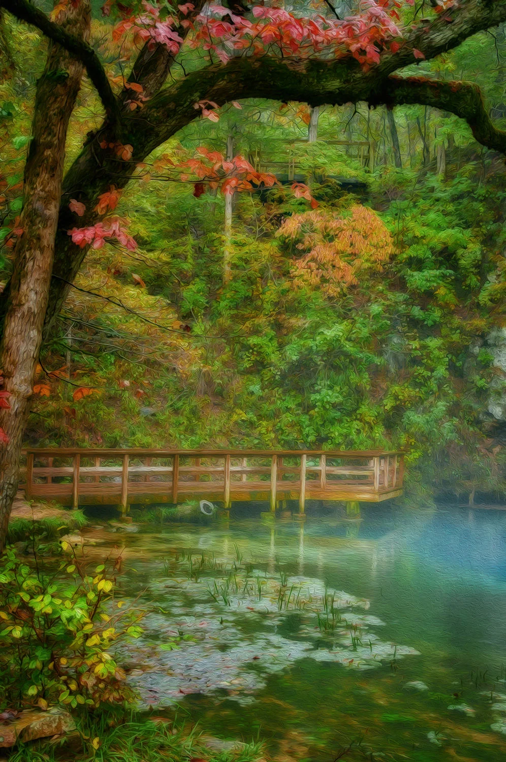 Blue Spring Missouri s.jpg