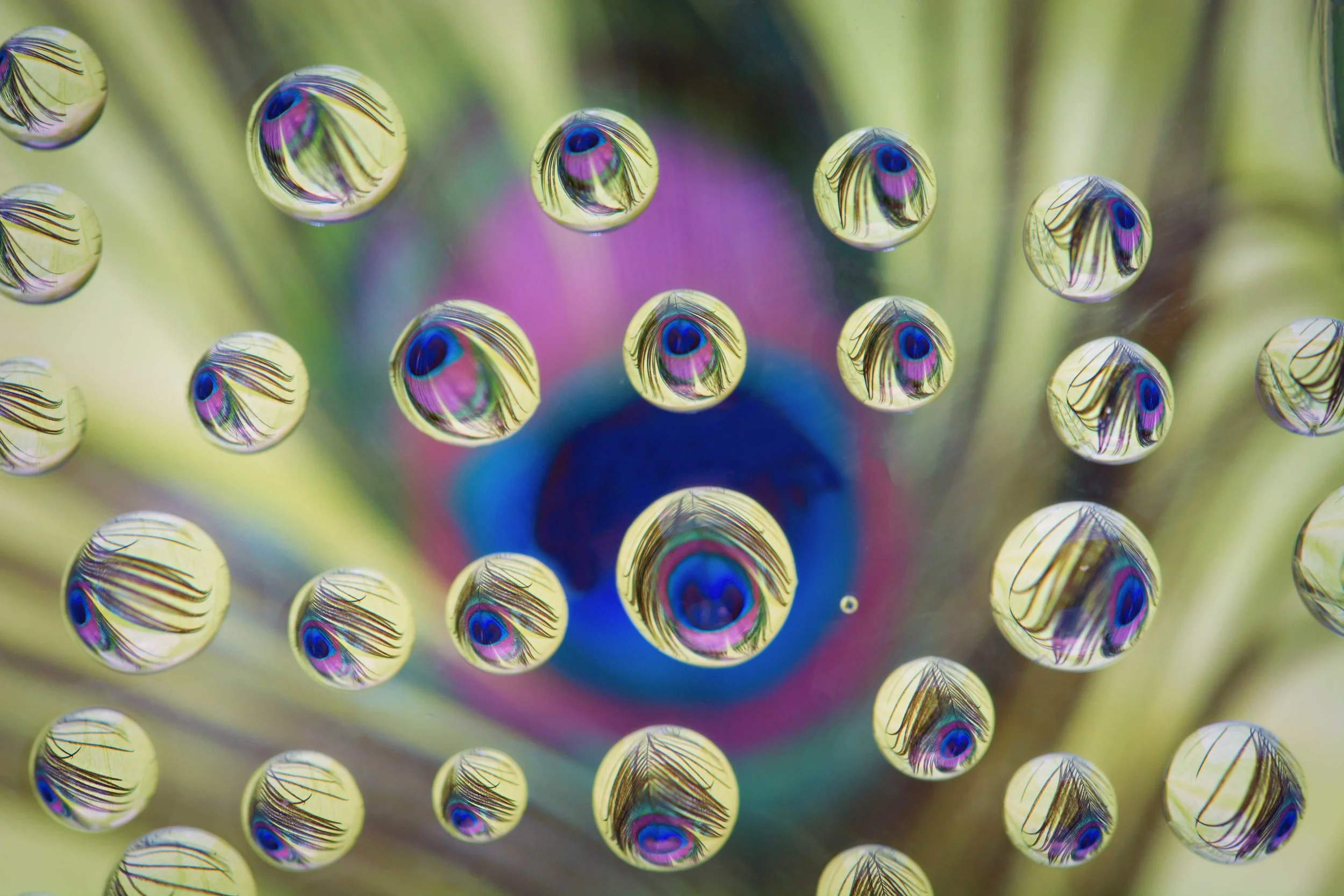 Capturing the Beauty