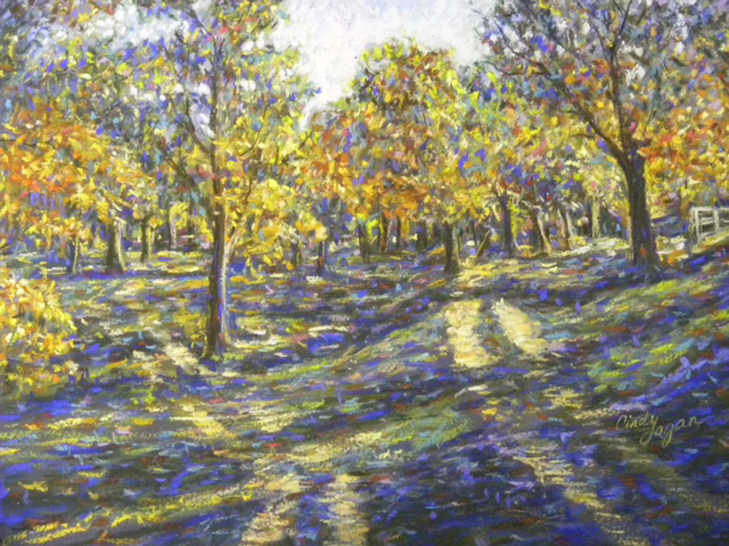 Spotlight on Cindy Logan