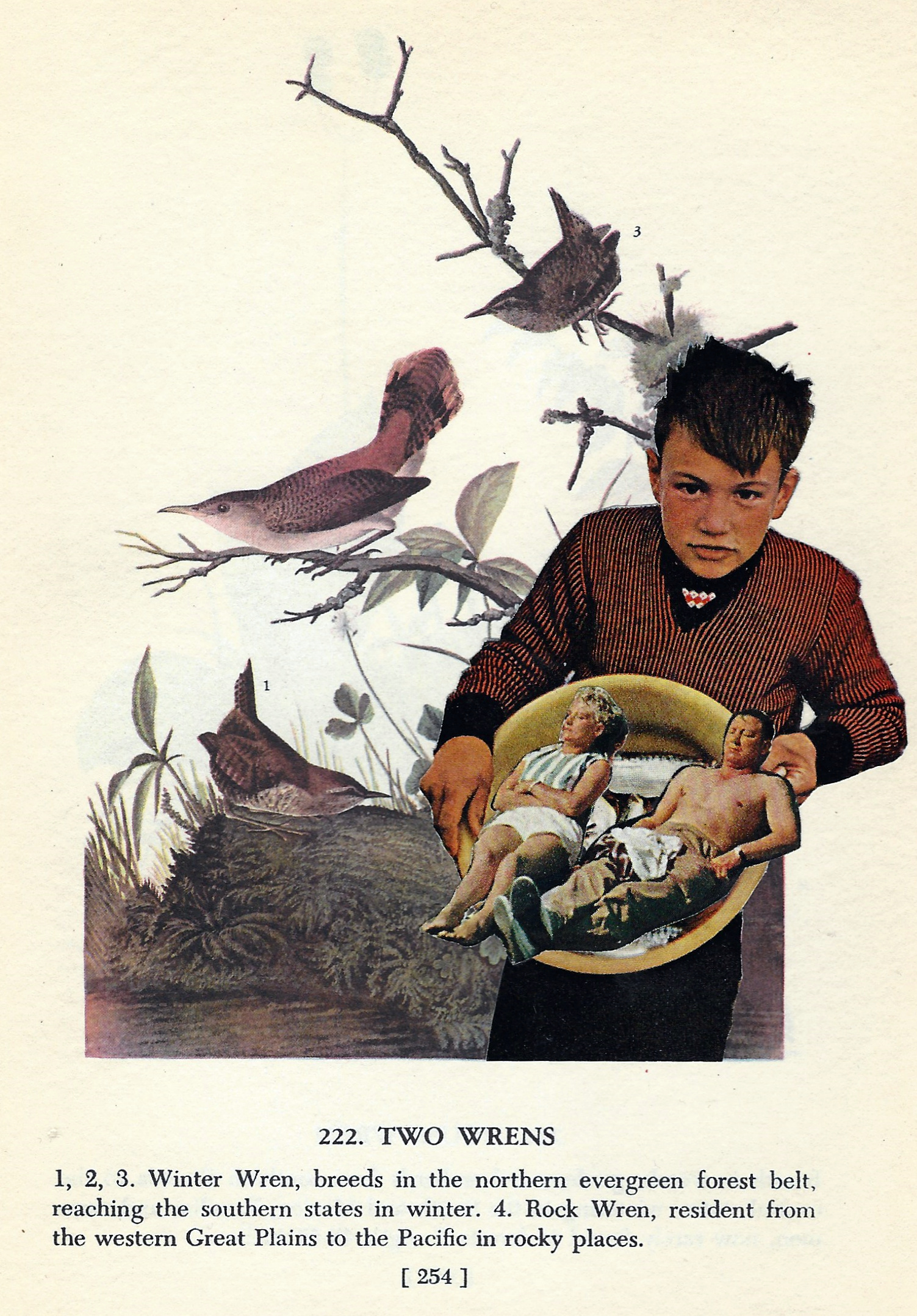 Featuring the Collages of Peggy Burchard-Ballard in February