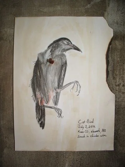 Inspired by the Natural World:  Mary Jo Kattelman