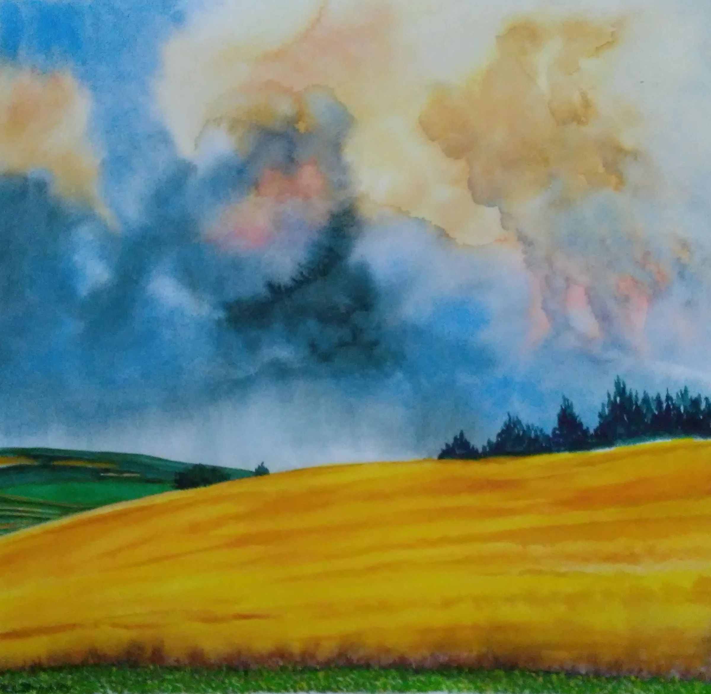 March Spotlight on Member Artist Mary Ann Brinkley