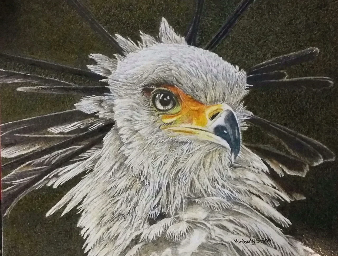 April Spotlight on Kimberly Shinn