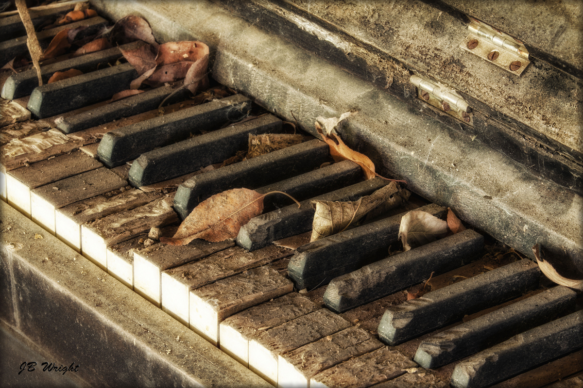 Abandoned Beauty:  Photography by J. Barry Wright