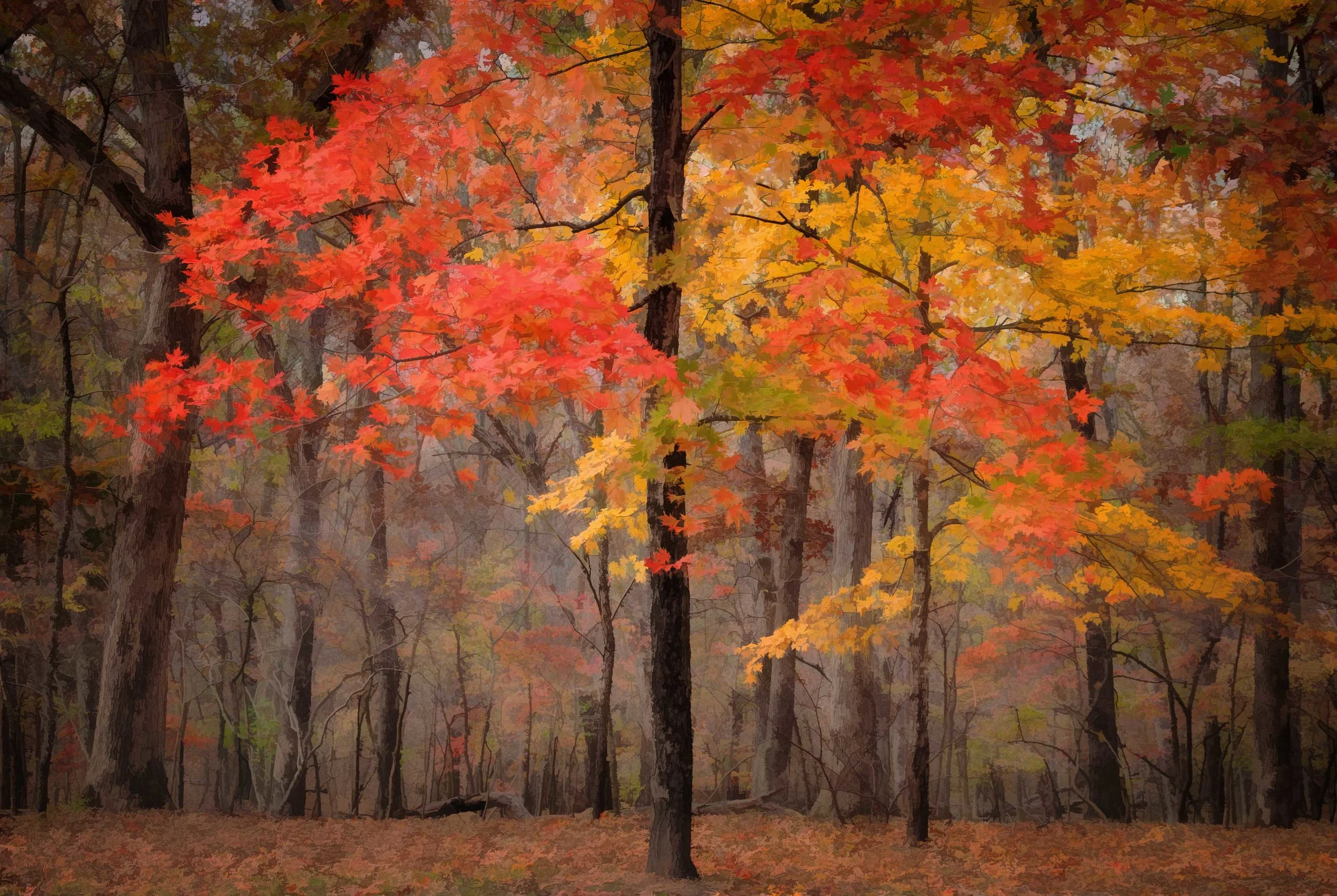 October Featured Artist:  Andrea Linderman
