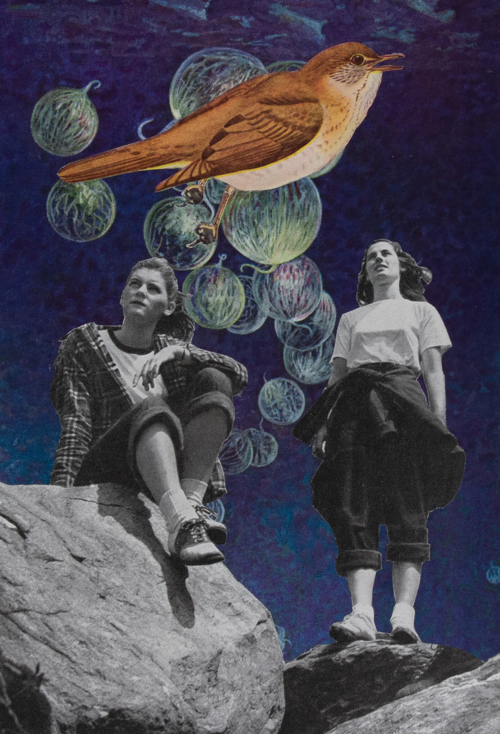 Capturing Nature in Art...Literally:  Work by Member Artist Peggy Burchard-Ballard