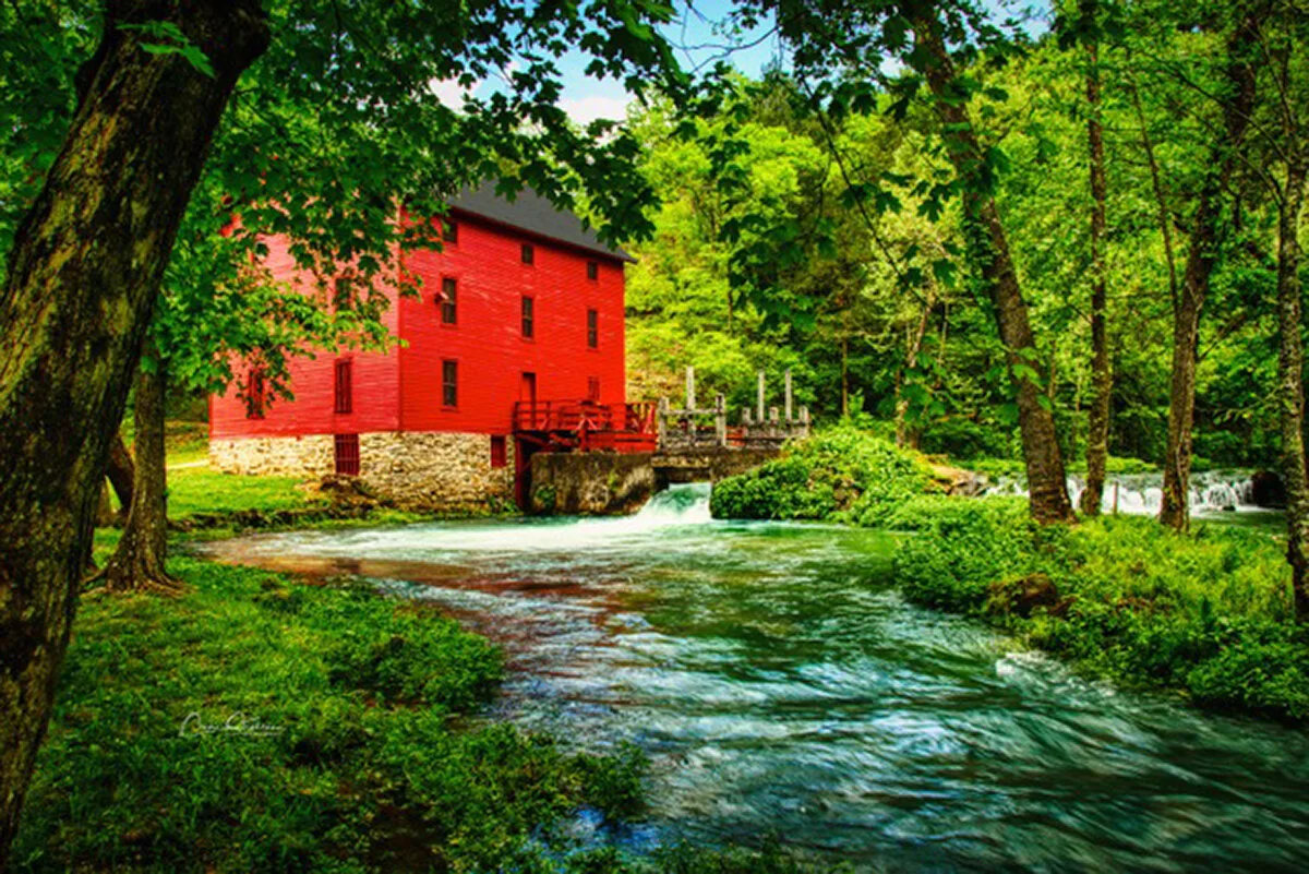 Destination....Photography!  member artist Connie Stephens