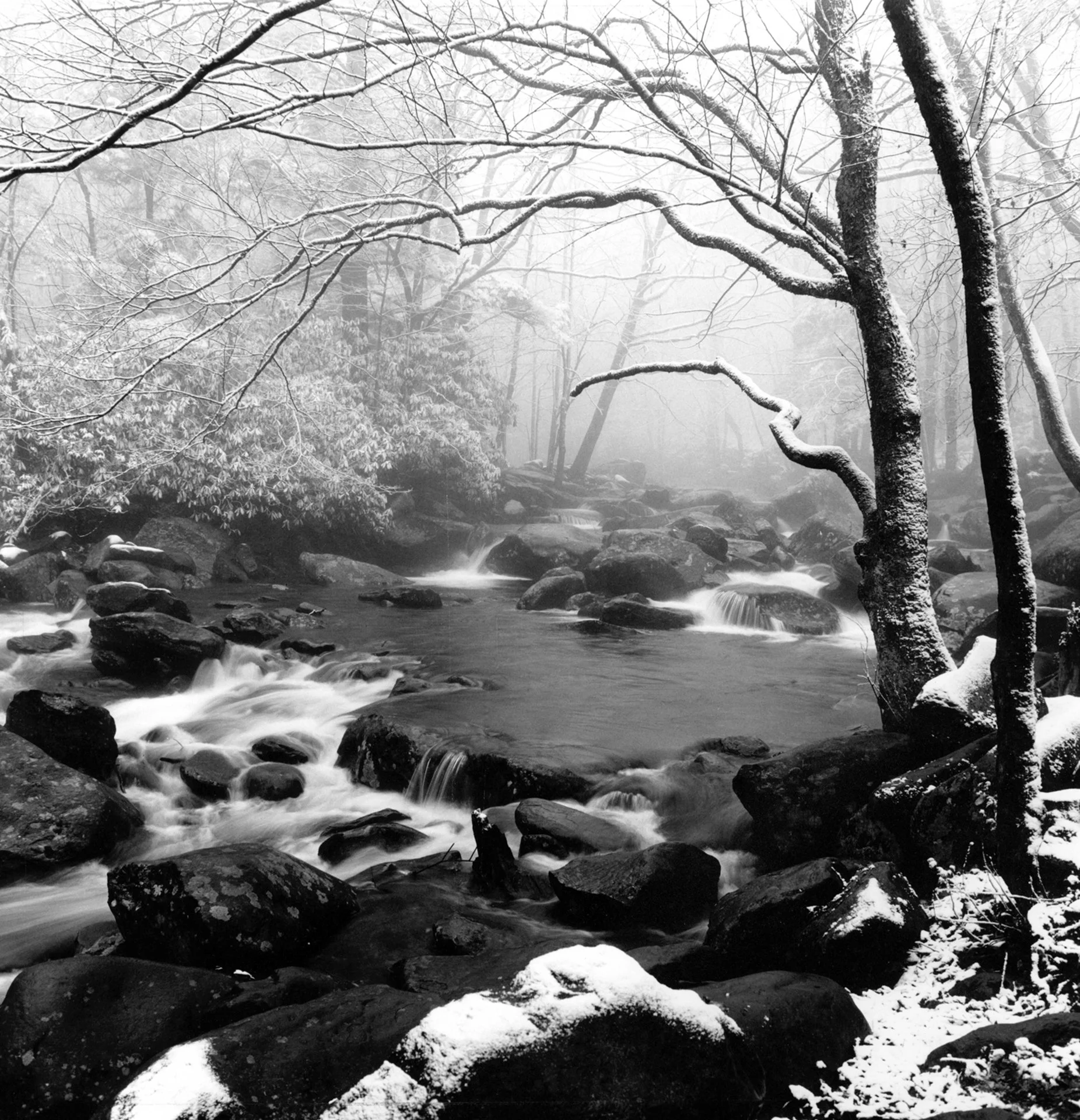 Seeing in Black and White:  Guest Artist Tim Schroll