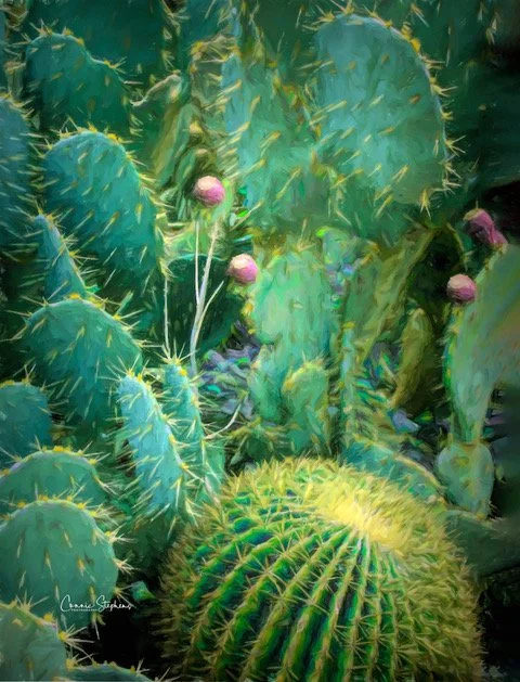 From Image to Art:  Spotlight artist Connie Stephens