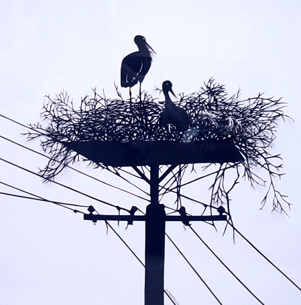 Preserving Life’s Most Precious Memories