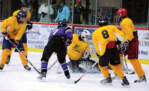 13-14: LGSSAA Hockey Action