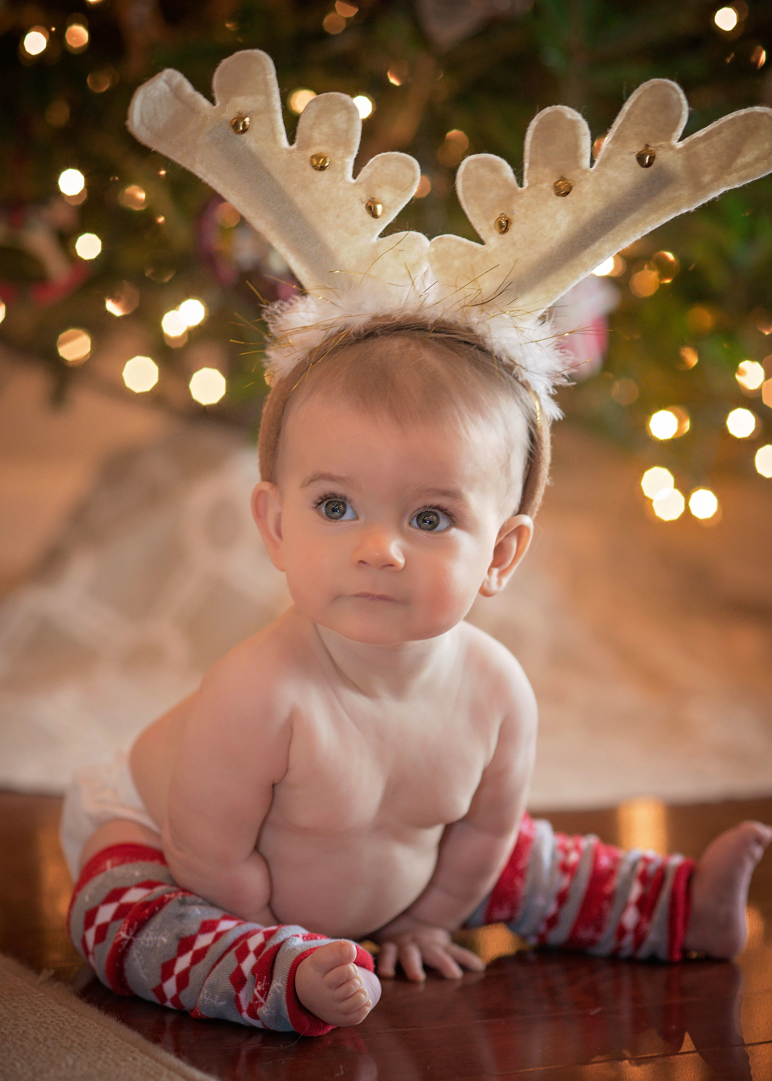 Holiday Card Photography