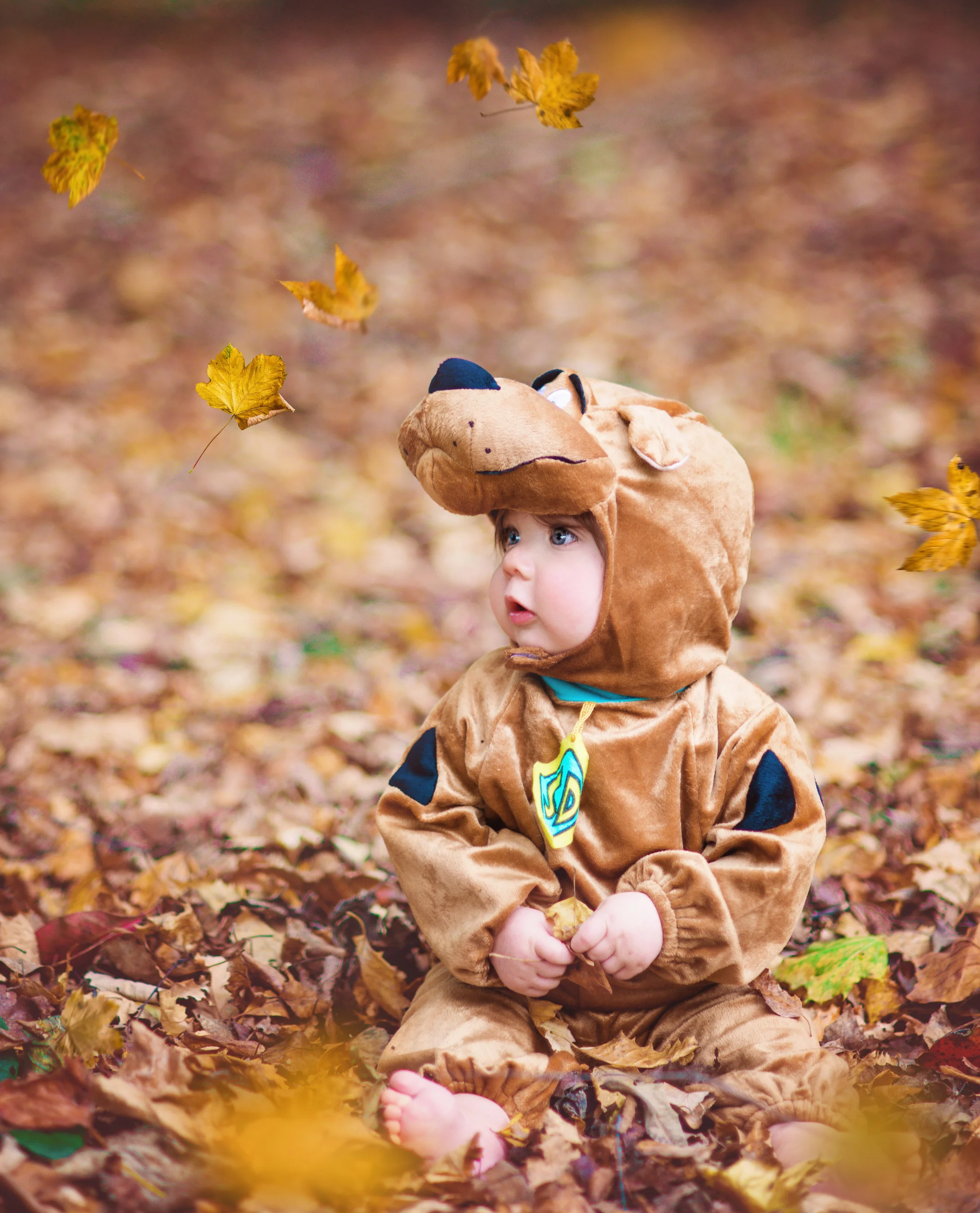 Halloween photography 2014 (2 of 25)_edited-1.jpg