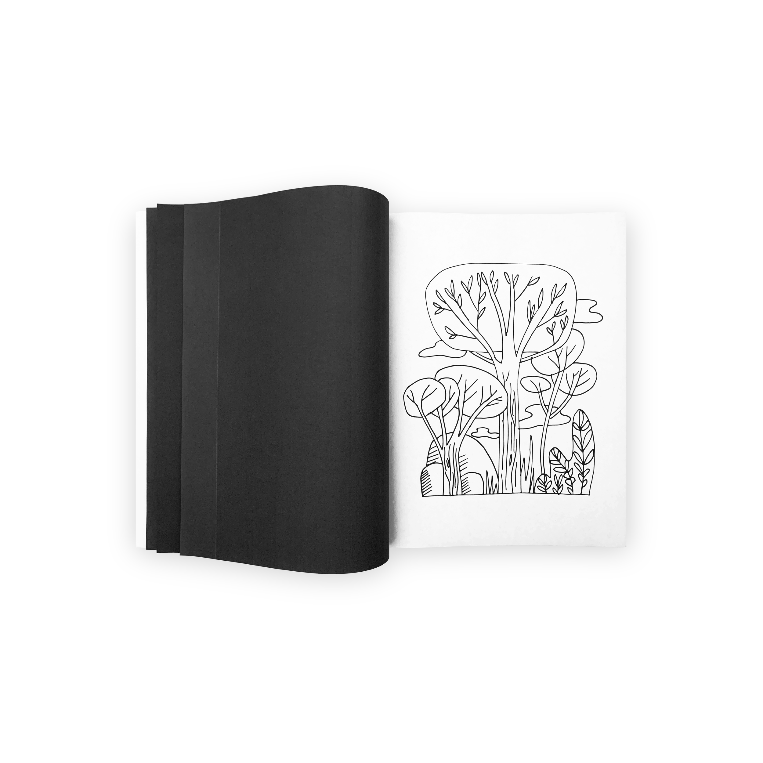 ABSTRACT NATURE · A FINE ART COLORING BOOK · CENTER PAGE.png