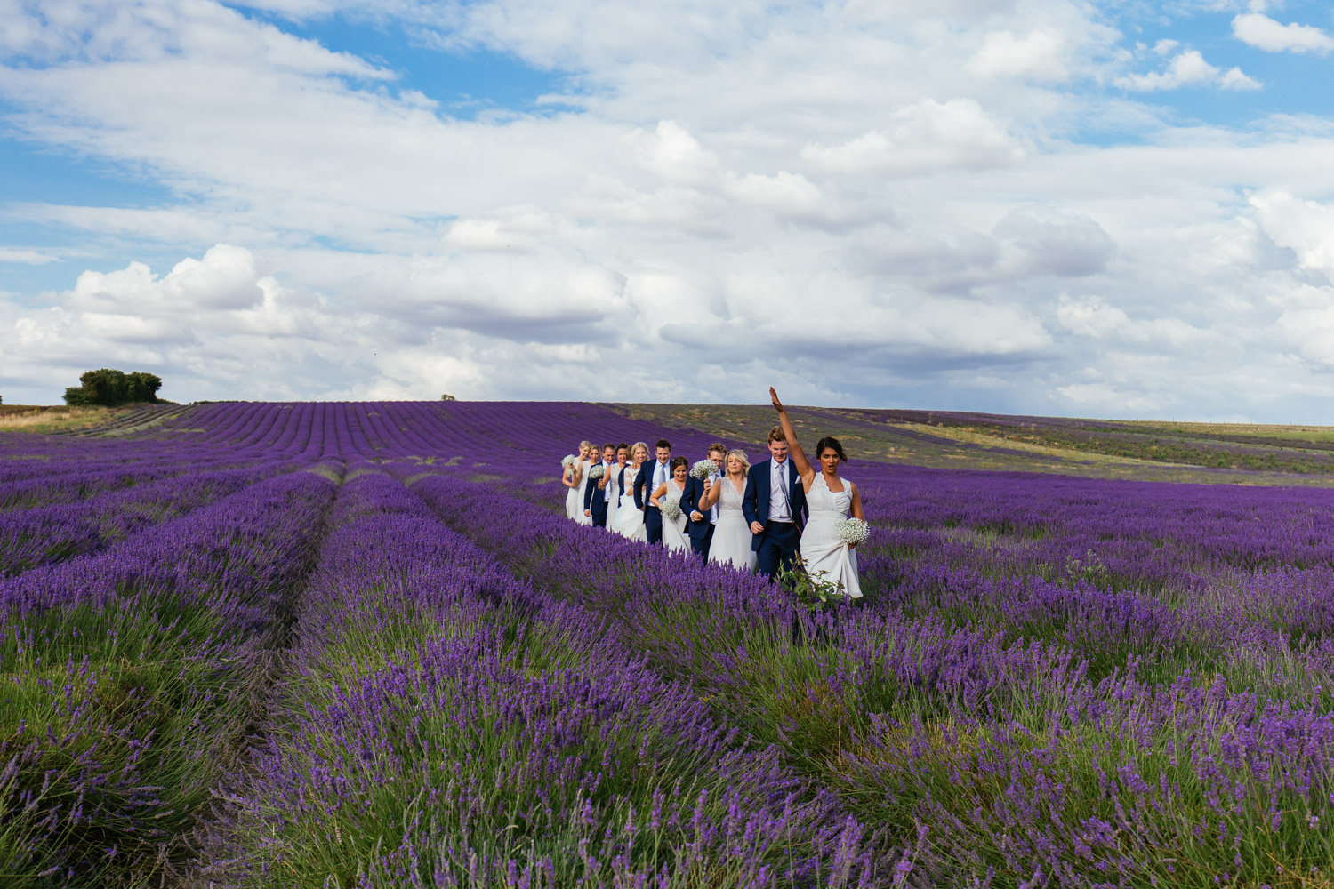 Faye-and-Tom-Wedding-Hitchin-Lavender-57.jpg