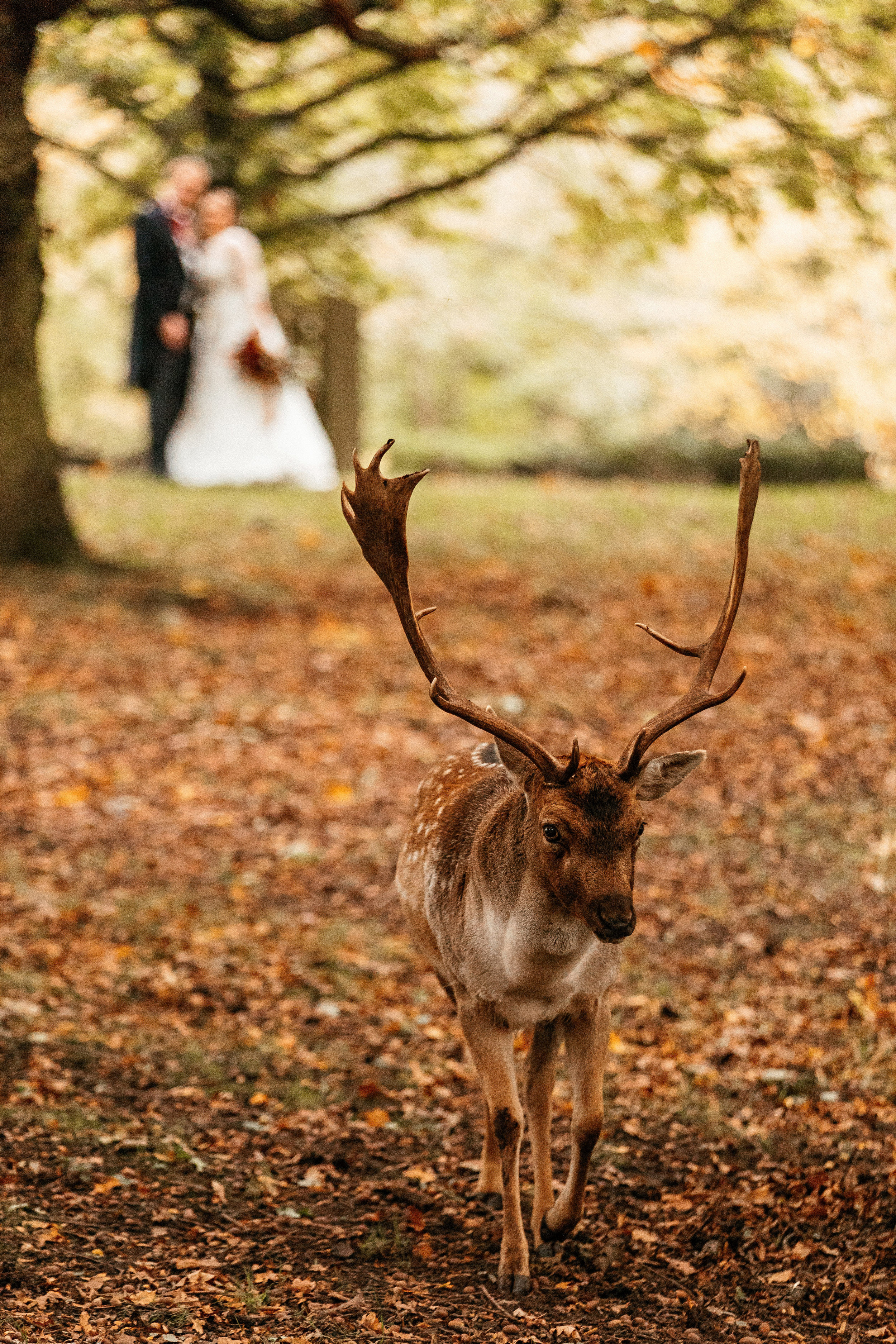 Dunham-Massey-Wedding-Photographer-92.jpg