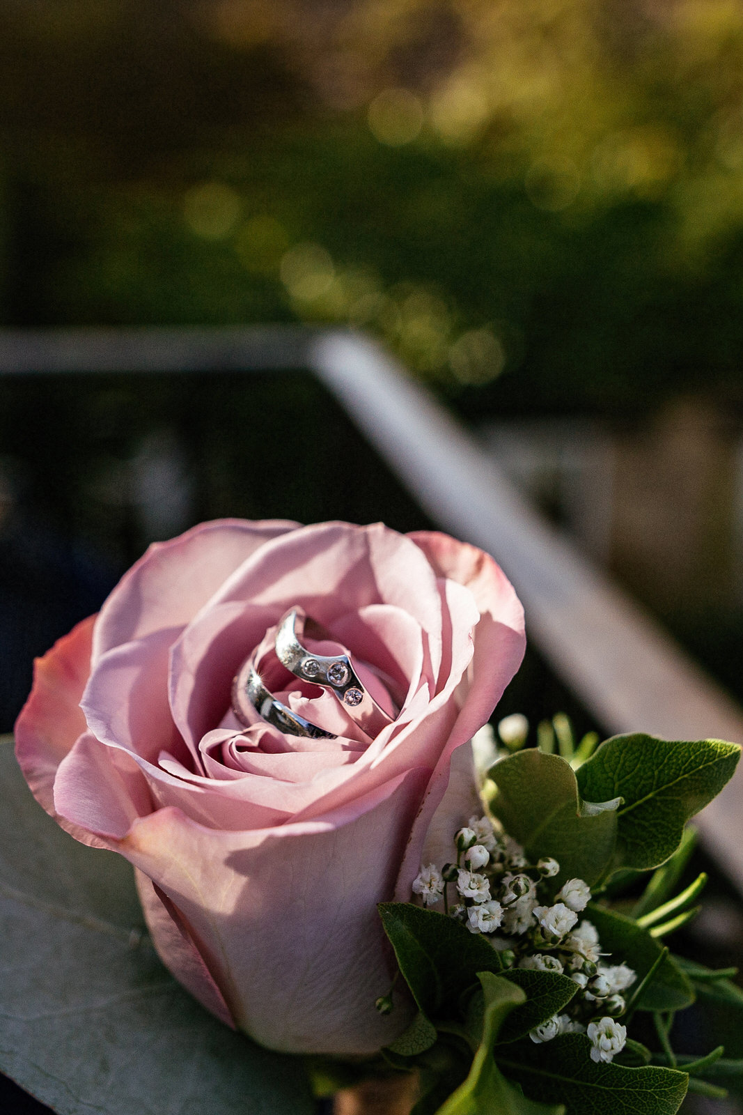 Winkworth-Farm-Wedding-Photographer-003.jpg