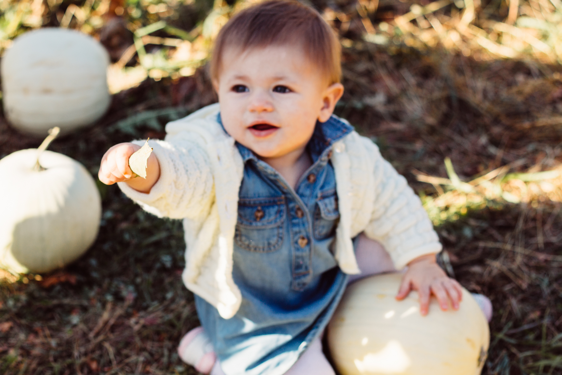 everlyoctober_lo_res-031.jpg