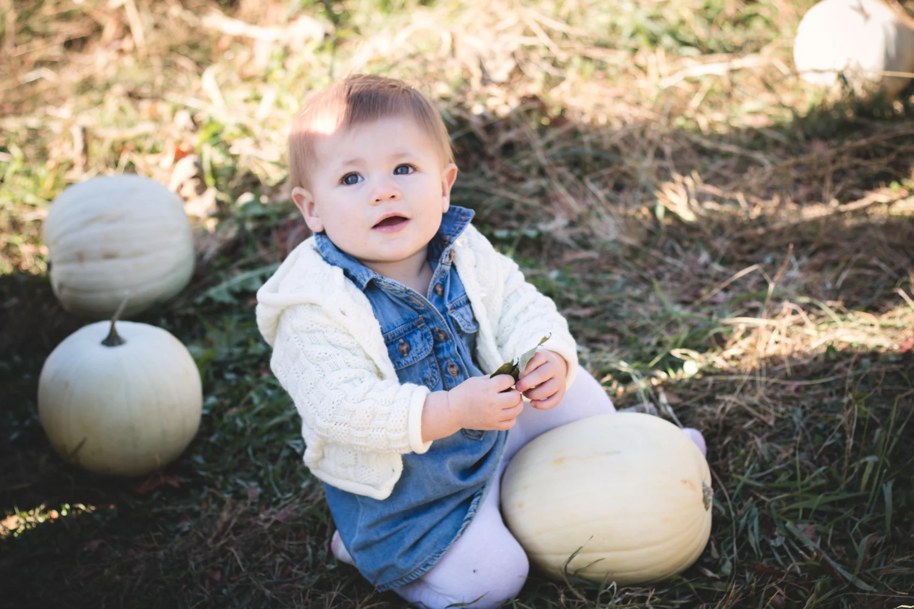 everlyoctober_lo_res-040.jpg