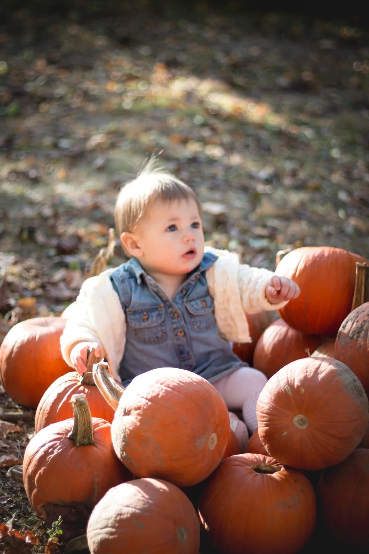 everlyoctober_lo_res-143.jpg