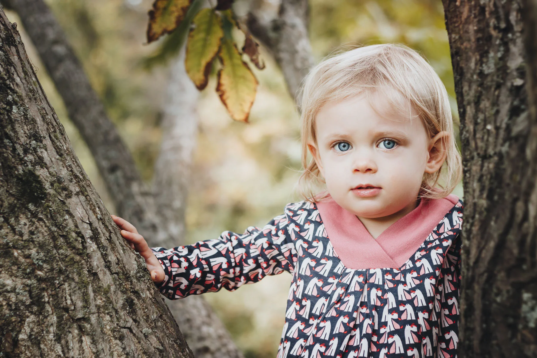 lewisfamily2_lo_res-11.jpg