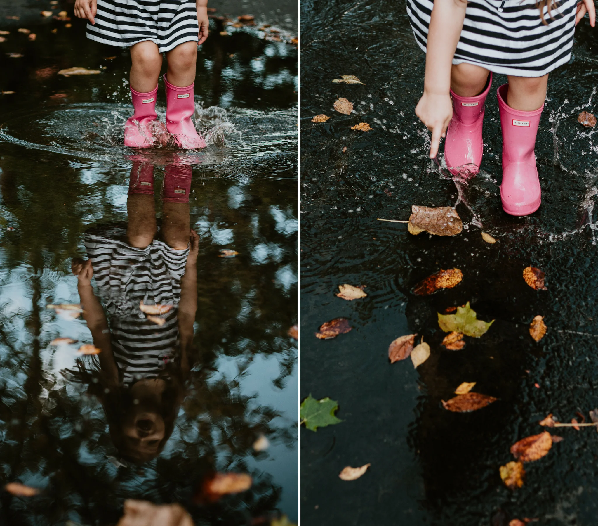 best of fall 4.jpg