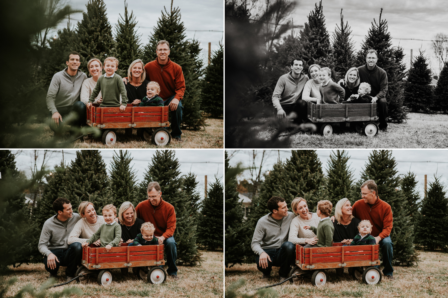 Christmas Family Photos